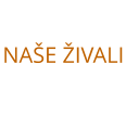 NAŠE ŽIVALI
